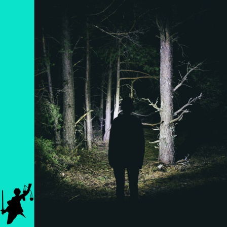 Frau mit Stirnlampe in einem unheimlichen Wald bei Nacht