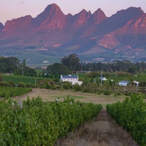 Blick auf ein Weingut in der von Stellenbiosch in Südafrika (Foto: imago images / Zoonar)