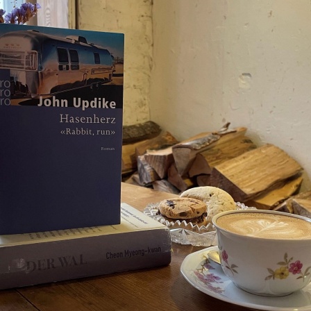 John Updike - Hasenherz &lt;&lt;Rabbit, run&gt;&gt;