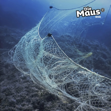 Altes Fischernetz auf dem Meeresboden