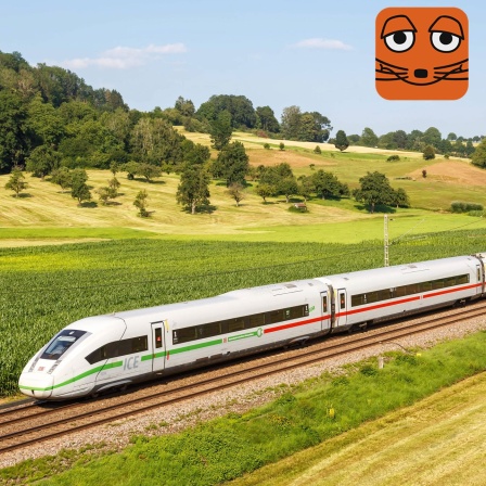 Ein weißer Zug der Deutschen Bahn fährt durch eine Landschaft mit Feldern, Wiesen und Bäumen.