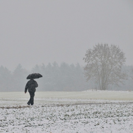 Das Beitragsbild des Dok5 Feature "Einsamkeit" zeigt einen einsamen Mann mit Regenschirm im Schneefall.