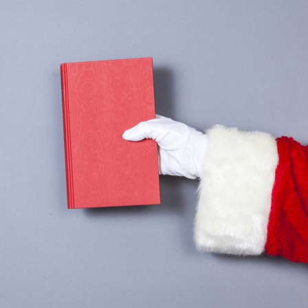 Weihnachtsmensch hält ein Buch in der Hand