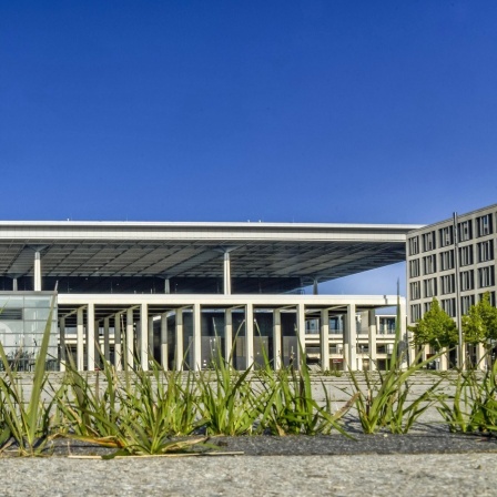 Gras wächst zwischen Bodenplatten vor dem Hauptgebäude des Flughafens Berlin Brandenburg "Willy Brandt" BER