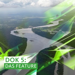 Das Beitragsbild des Dok5 "Schwimmende Justiz – Rechtsprechung am Amazonas" zeigt die Stadt Macapá am Amazonas aus der Luft.