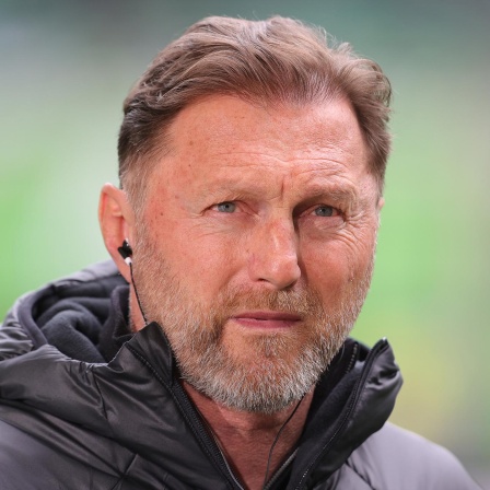 Ralph Hasenhüttl, Trainer des VfL Wolfsburg