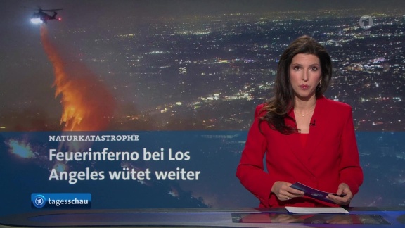 Tagesschau - Tagesschau 00:15 Uhr, 10.01.2025