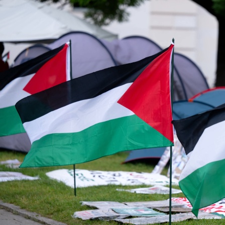 Palästinensische Flaggen stehen an einem propalästinensischen Protestcamp vor der Ludwig-Maximilians-Universität (LMU).