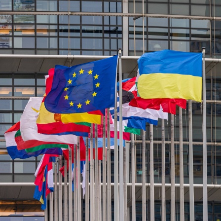 Fahnen der europäischen Mitgliedsstatten vor dem Europaparlamentsgebäude