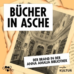 "Bücher in Asche" steht als Schriftzug über einem schwarz-weiß Bild.