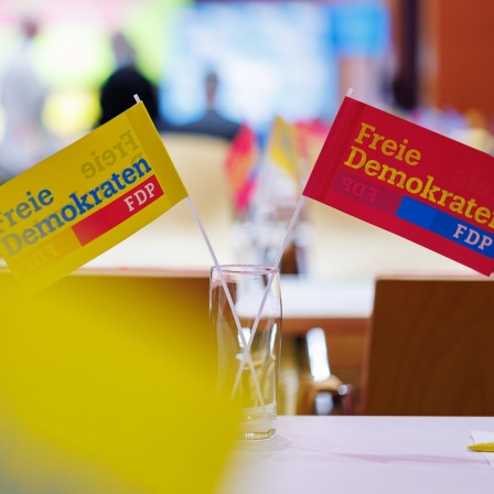 «Freie Demokraten - FDP» steht beim Landesparteitag der FDP Bayern auf Fähnchen