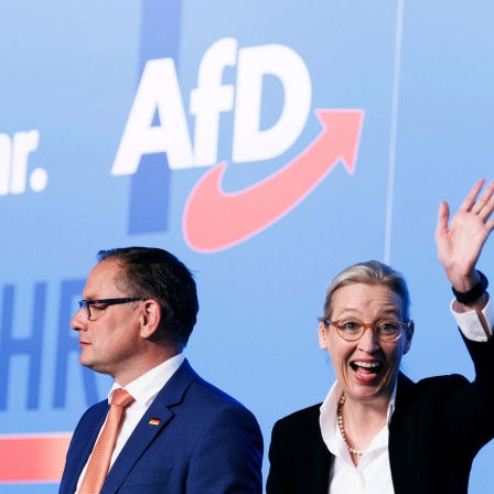 Die Parteiführung beim AfD-Parteitag in Magdeburg