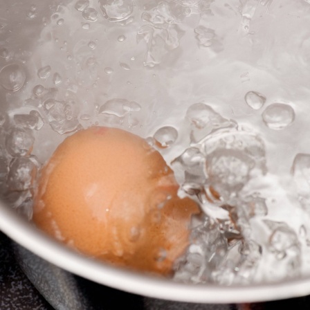 Ei kocht im Wasser