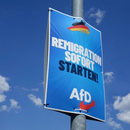 Ein Wahlplakat der AfD in Borkwalde in Brandenburg