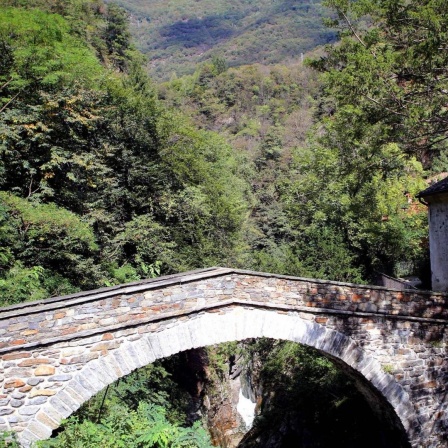 Das Valle Cannobina ( deutsch auch Cannobinertal oder Cannobinatal, lom. Val Cannobina ) ist ein recht wenig erschlossenes Tal im Piemont in der italienischen Provinz Verbano-Cusio-Ossola.
