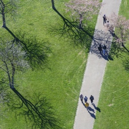 Spaziergang von mehreren Menschen in einem Park mit blühenden Bäumen in einer Stadt. 