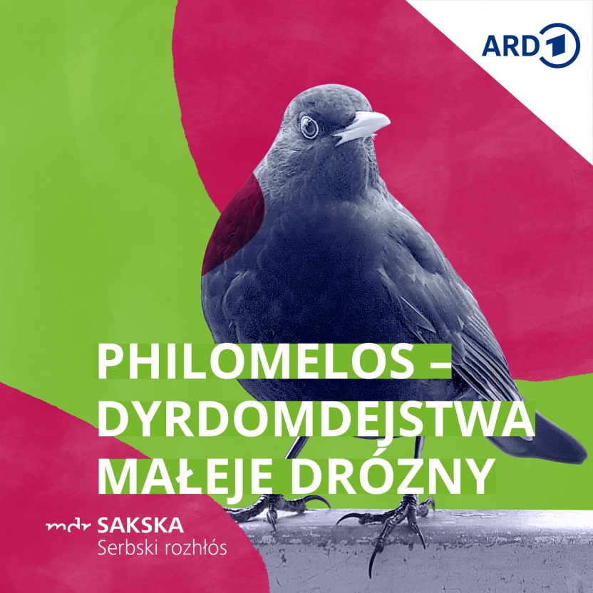 Cover: Philomelos a poprjancowy běh