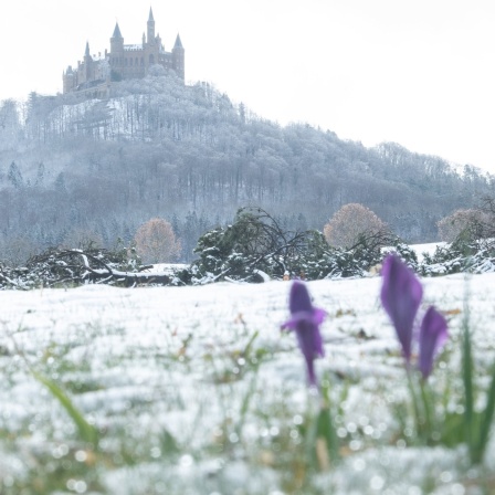 Auf einem Hügel Schloss Hohenzollern. Im Tal liegt Schnee.