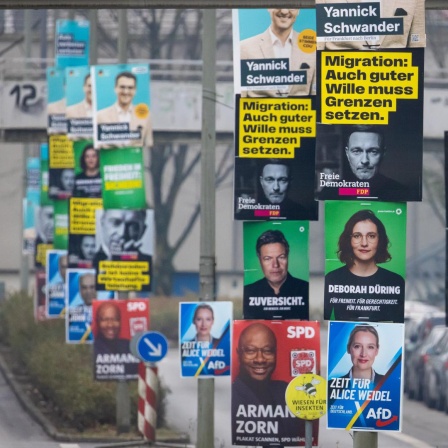 Wahlplakate der etablierten Parteien CDU, AfD, Bündnis 90/Die Grünen, SPD und FDP hängen im Frankfurter Nordwesten an mehreren Laternenmasten.