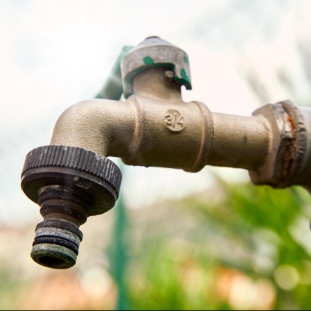 Nahaufnahme eines Wasserhahns in einem Garten