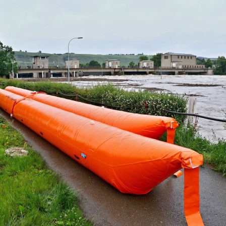 Extremes Neckar-Hochwasser bei Hessigheim: Feuerwehren errichten Schutzdamm mit landkreiseigenem Hochwasserschutzsystem.