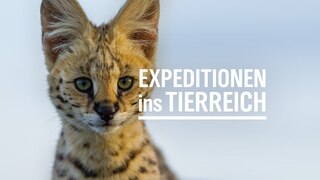 Logo Expeditionen ins Tierreich