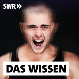 Männer sind am Anfang einer Depression häufig aggressiv, reizbar, wütend, neigen zu riskantem Verhalten. Die Krankheit wird daher oft nicht erkannt, wenn &#034;typische&#034; Zeichen wir Antriebslosigkeit und Traurigkeit fehlen.