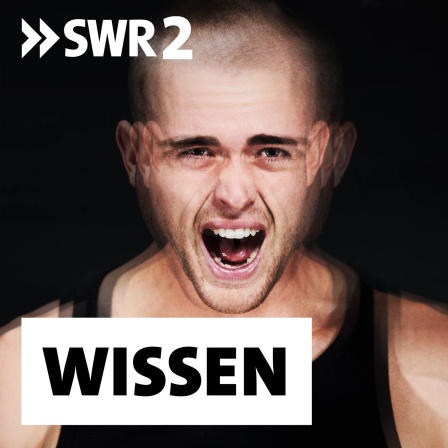 Männer sind am Anfang einer Depression häufig aggressiv, reizbar, wütend, neigen zu riskantem Verhalten. Die Krankheit wird daher oft nicht erkannt, wenn &#034;typische&#034; Zeichen wir Antriebslosigkeit und Traurigkeit fehlen.