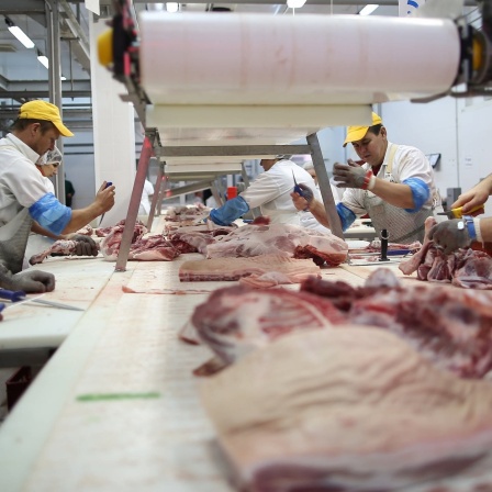 Die Fleisch-Mafia