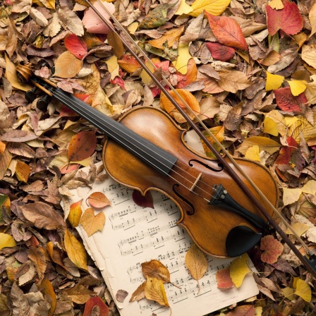 Violine und Notenblatt zwischen Herbstlaub