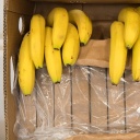 Päckchen mit je einem Kilo Kokain liegen mit Bananen in einer Bananenkiste 