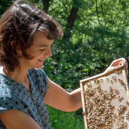 Frau hält Bienenwabe