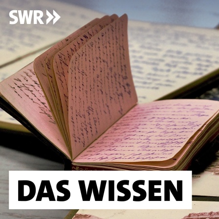 Dicht beschriebenes Tagebuch liegt auf einem Fotoalbum: Erinnerungen festhalten, Bedrückendes loswerden oder einfach Spaß am Schreiben - es gibt viele Gründe, weshalb Menschen Tagebuch schreiben. In der Poesietherapie wird es genutzt, um Probleme und sogar Traumata aufzuarbeiten. (Aufgenommen im Deutschen Tagebucharchiv)