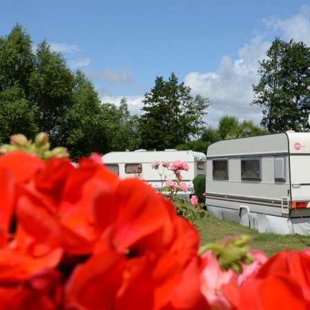 Ein Wohnwagen auf einem Campingplatz in idyllischer Lage. Im Vordergrund ein rotes Blumenmeer.