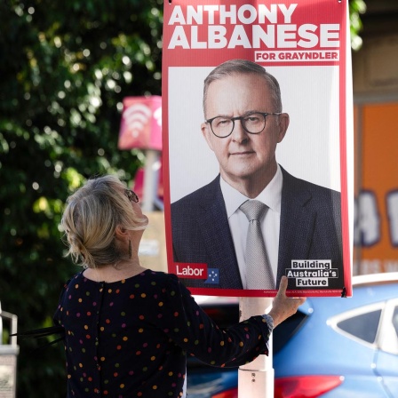 Eine ehrenamtliche Mitarbeiterin ersetzt Wahlkampfplakate des australischen Premierministers Anthony Albanese mit neuen Plakaten in seinem Wahlkreis in Sydney am 2. Mai 2025 vor den für den 3. Mai angesetzten Parlamentswahlen.