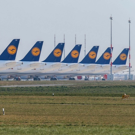 Viele Lufthansa-Maschinen stehen ungenutzt auf dem Gelände des BER geparkt.