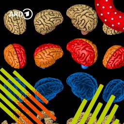 Illustration: Viele buntgefärbte Gehirne nebeneinander. | Bild: picture alliance / Zoonar | Anton Medvedev/Bildmontage:BR