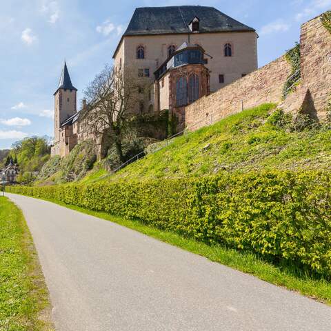 Der Mulde-Radweg auf Höhe des Schlosses Rochlitz (Foto: imago images / Hanke)