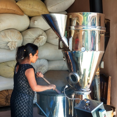 Hohe Kosten für Kaffee: Warum uns die braune Brühe das wert sein sollte