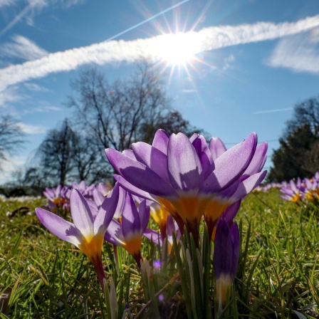 So gut tut uns der Frühling