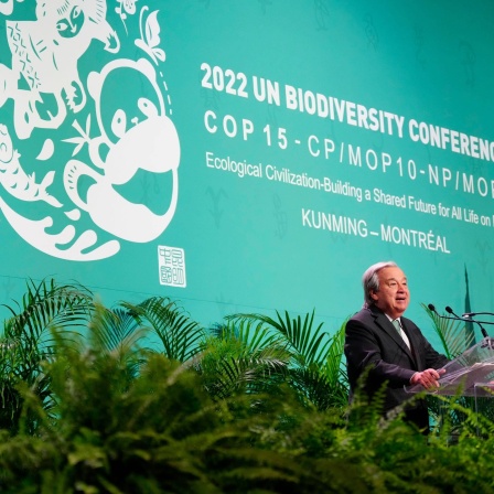 COP15 Eröffnung