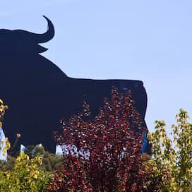 Der sogenannten Osborn-Stier (Foto: imago images / Blickwinkel)