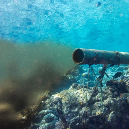 Eine Unterwasser-Abwasserleitung in einem Korallenriff beschädigt und verdunkelt den Ozean. 