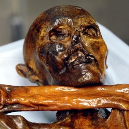 Mumien im Museum - Neugier oder Störung der Totenruhe? | Ötzi und die Forschung