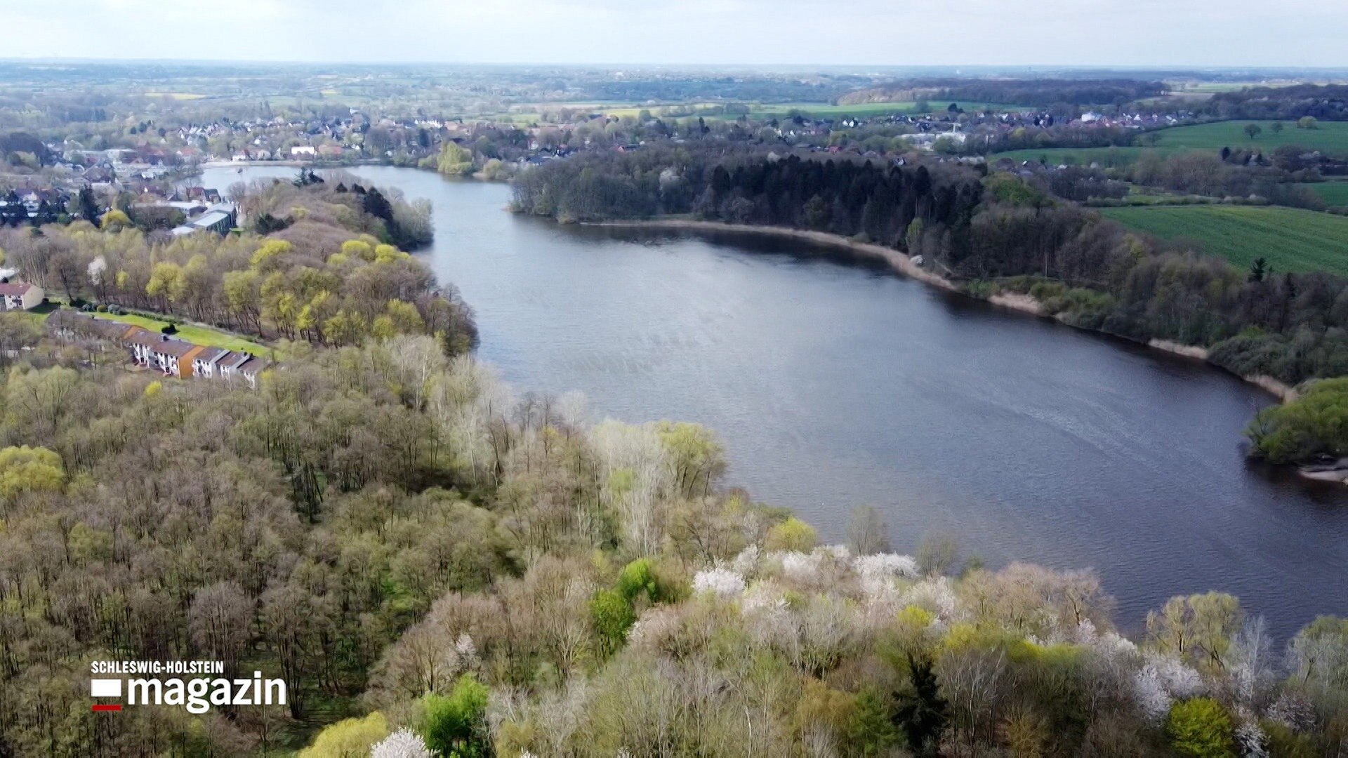 SchleswigHolstein Magazin Blaualgen im Herrenteich in Reinfeld ARD
