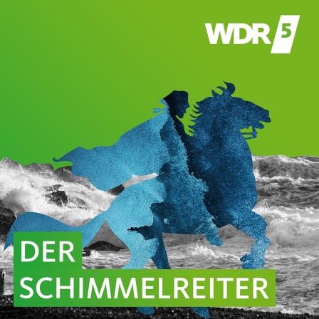 Stilisierter Reiter vor einem Wellen-Hintergrund