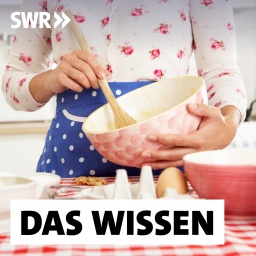 Junge Frau in Blümchenbluse und blauer Schürze rührt mit einem Holzlöffel in einer rosa Schüssel einen Kuchenteig an: #Tradwife, Abkürzung für &#034;traditionelle Ehefrauen&#034;, und #Stayathomegirlfriend haben in den vergangenen Jahren TikTok und Instagram erobert. Die Message: Nichts ist erfüllender für eine Frau, als für einen Mann zu sorgen und die Kinder großzuziehen.