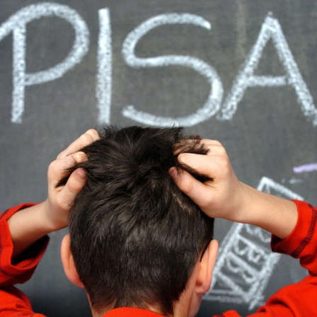 Ein Schüler rauft sich vor dem mit Kreide an eine Schultafel geschriebenen Wort PISA die Haare 