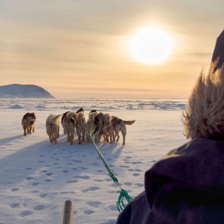 Inuit-Jäger auf Hundeschlitten auf dem Meereis in  Nordgrönland
