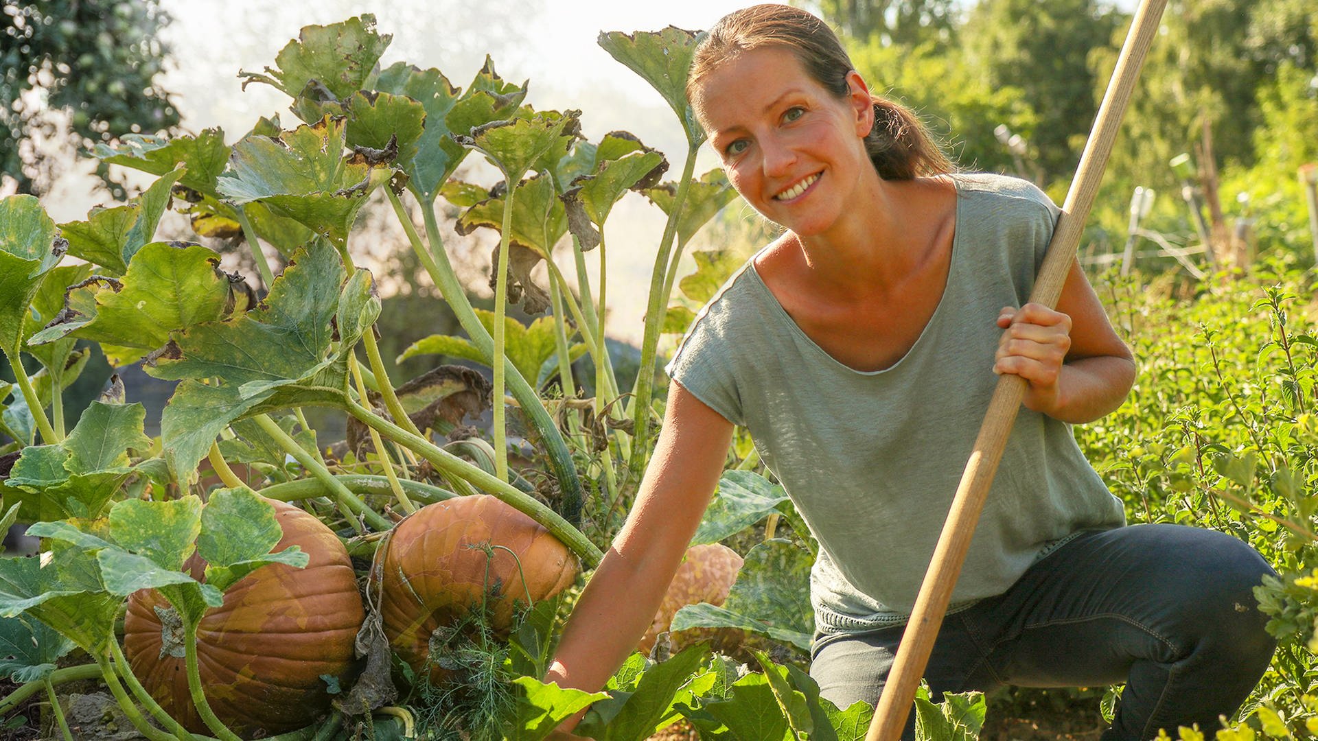 Mein leckerer Garten Die KürbisGärtnerin (S02/E01) ARD Mediathek